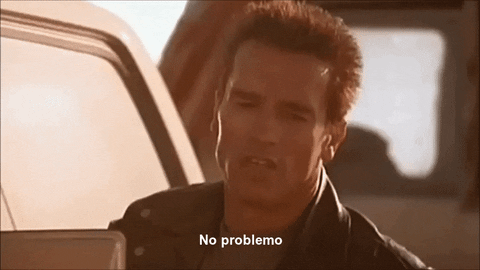 No Problemo Amigo Arnold Schwarzenegger GIF