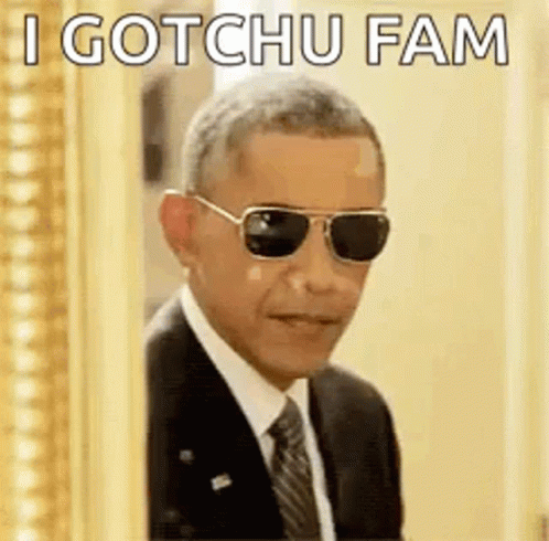 No Problemo Barack Obama GIF