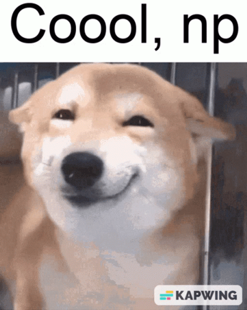 No Problemo Cute Dog GIF