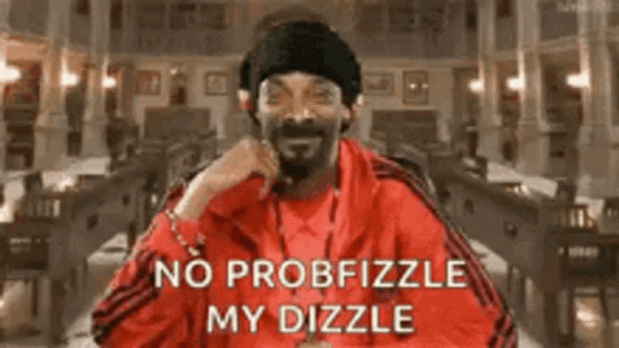 No Problemo Snoop Dogg GIF