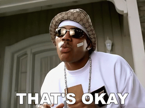 No Problemo Thats Okay Nelly GIF
