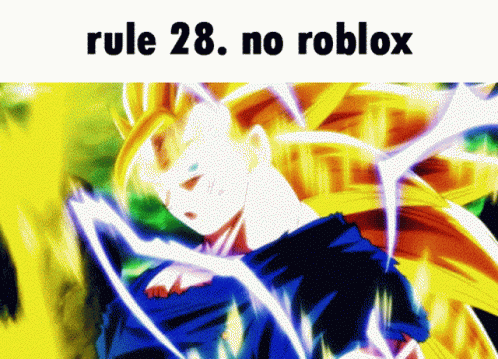No Roblox Rule 28 Goku Meme GIF