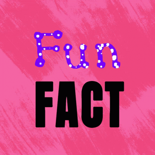 No Text Fact GIF