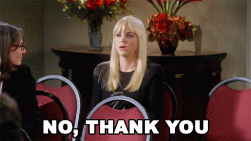No Thanks Anna Faris GIF