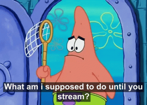 No This Is Patrick Holding Butterfly Net GIF