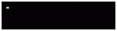 Nobody Cares Text Typing Computer Screen GIF