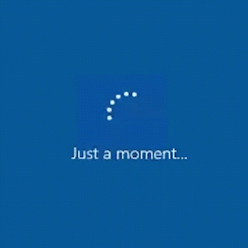 Nobody Cares Kitty Having Haircut Loading Screen GIF
