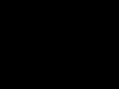 Noggin Logo With Tree and Two Birds