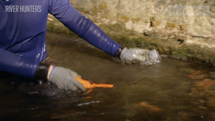 Nokia 3210 River Hunters GIF
