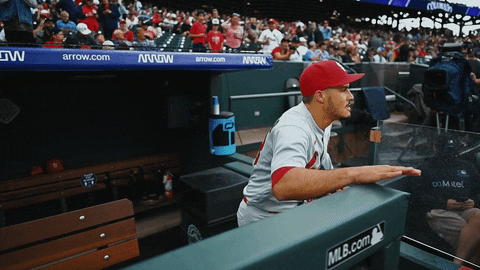 Nolan Arenado Baseball St Louis GIF