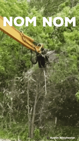 Nom Nom 270 X 480 Gif GIF