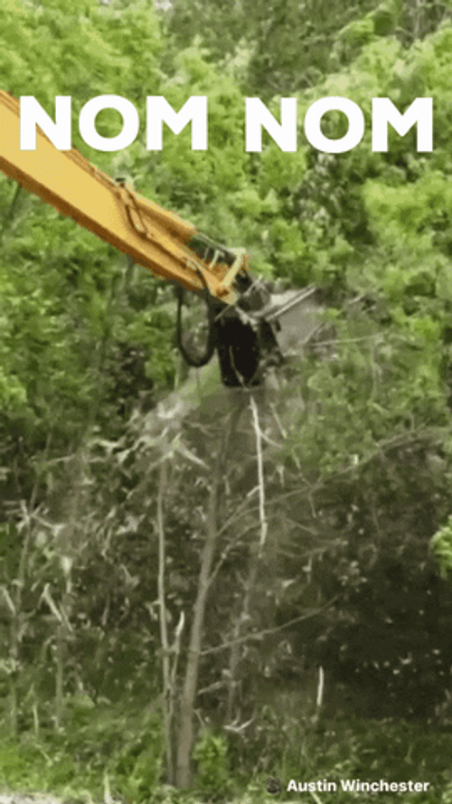 Nom Nom GIF