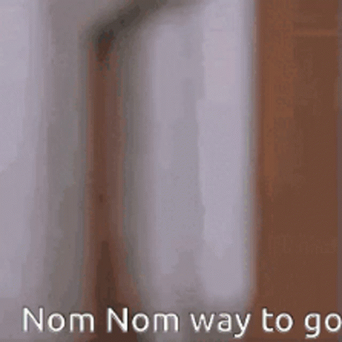 Nom Nom Man Eating Approved GIF