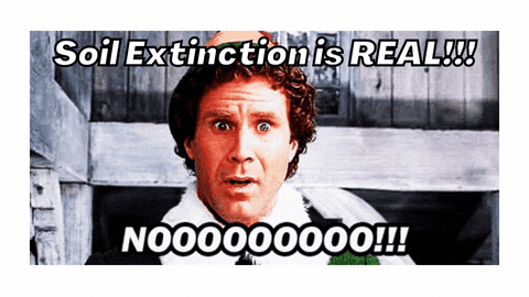 Nooo Will Ferrell GIF