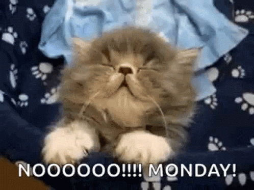 Noooo It's Tired Monday Again GIF