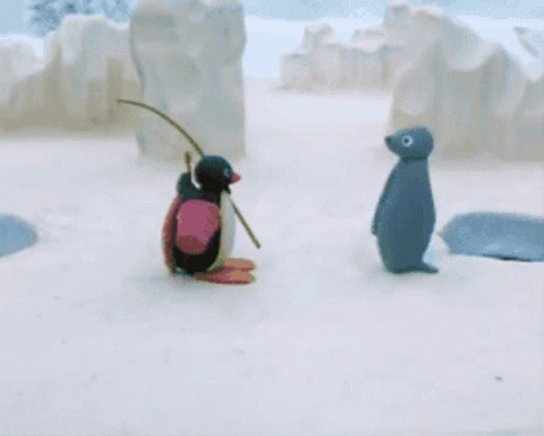 Noot Noot Looking At Seal Rolling GIF
