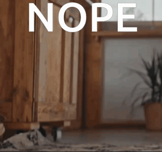 Nope Nope Nope Cat Riding Robot Cleaner GIF