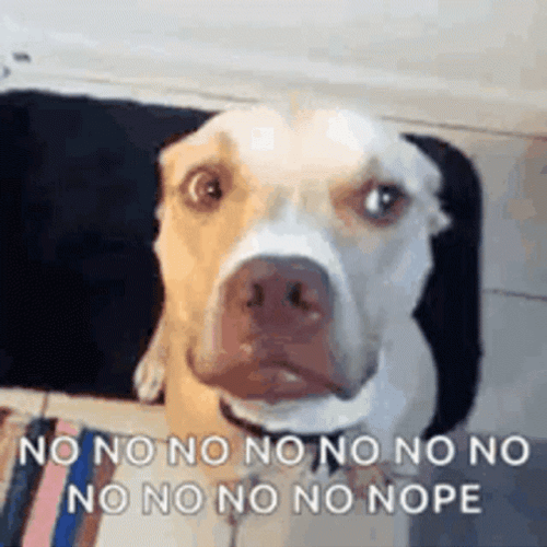 Nope Nope Nope Cute Dog Shaking Head GIF