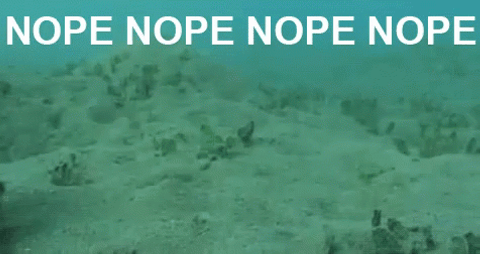 Nope Nope Nope Octopus Swimming Away GIF