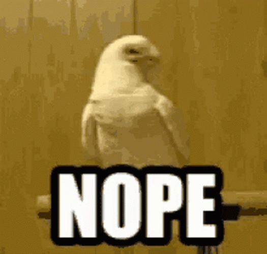 Nope Nope Nope White Falcon GIF