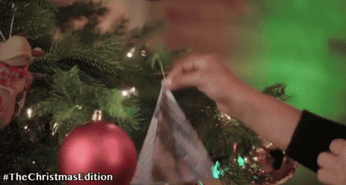 Norma Christmas Party GIF