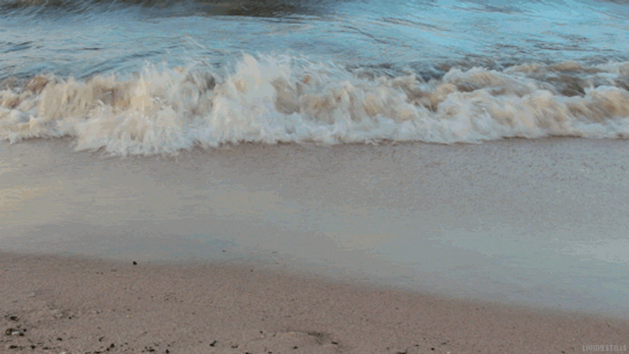 Normal Waves By The Sea GIF