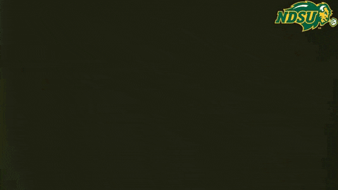 North Dakota State Baseball Player Ready Gloves GIF