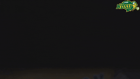 North Dakota State Flickering Light GIF