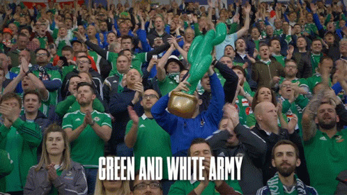 Northern Ireland Football Team Fans GIF