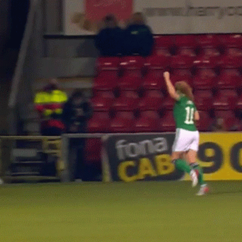 Northern Ireland Football Team Work GIF