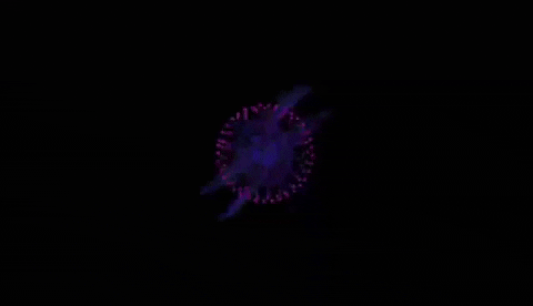 Northern Lights Inspired Light Loop GIF