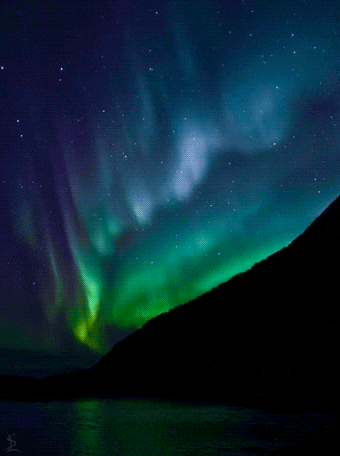 Northern Lights On A Calm Night GIF