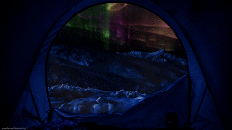 Northern Lights View From The Tent GIF