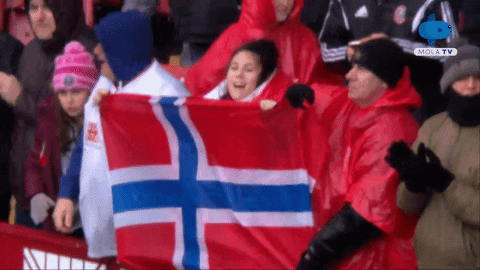 Norway Fans Holding Big Flag GIF
