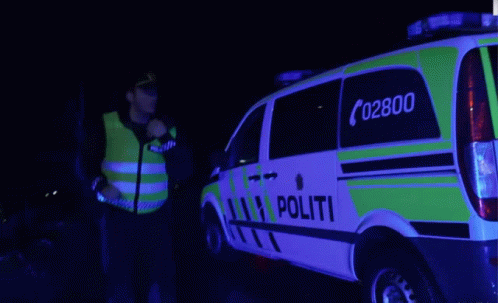 Norwegian Police Service Car Lights GIF