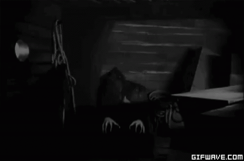 Nosferatu 498 X 330 Gif GIF