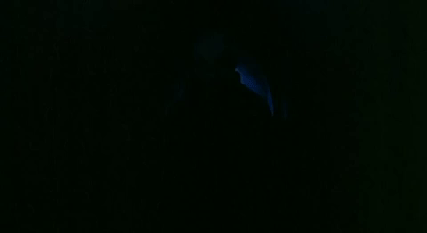 Nosferatu Come Out From Darkness GIF