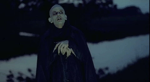 Nosferatu Look Intense GIF