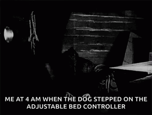 Nosferatu Me When Dog Stepped On Bed Controller GIF
