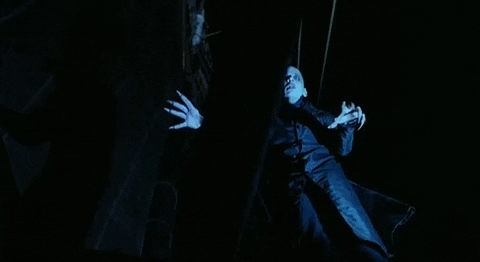Nosferatu Scary Fly GIF