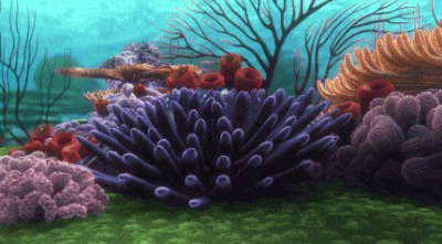 Nosy Fish From Finding Nemo Disney GIF