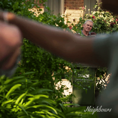 Nosy Paul Robinson Neighbours Tv Series GIF