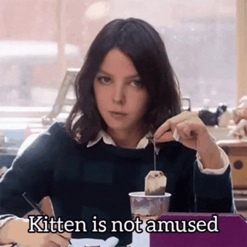 Kitten Is Not Amused GIF