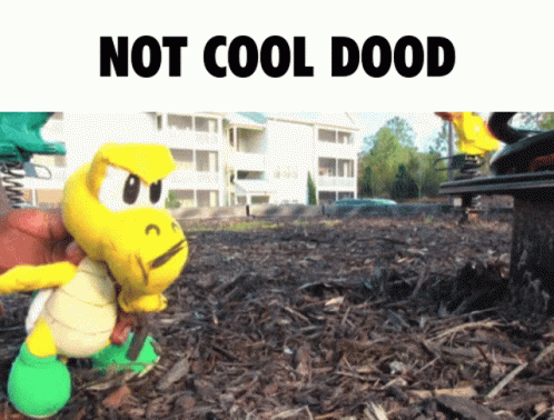 Not Cool Dood Sml Koopa Troopa GIF