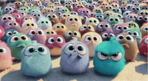 Not Happy Angry Birds Army GIF