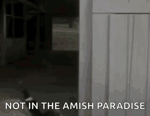Not in Amish Paradise Sign with Cat