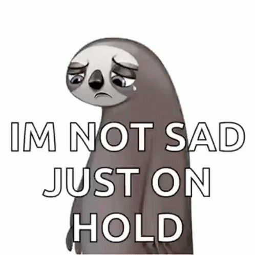 Not Sad Just On Hold Crying Sloth GIF
