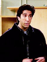 Not So Fast My Friend Ross Geller GIF