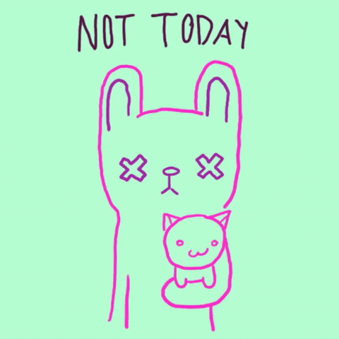 Not Today Friendly Cat GIF