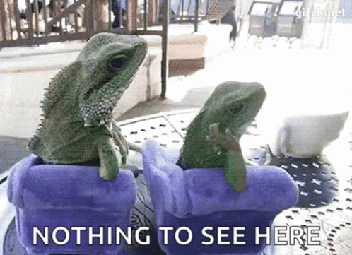 Nothing See Here Dancing Lizard GIF